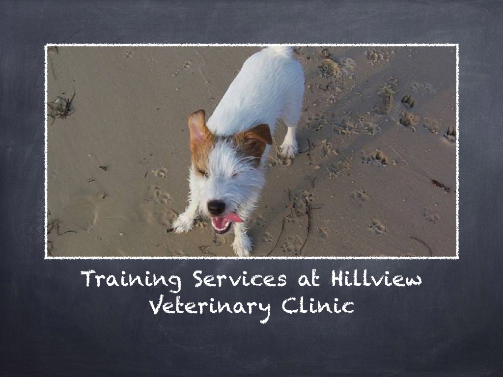 Training Services